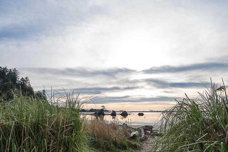 Birds Nest Suite Lincoln City Bagian luar foto